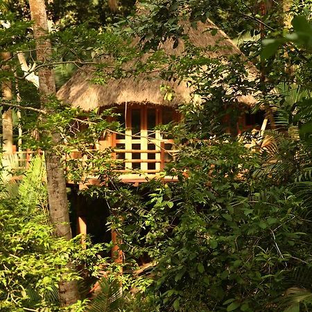 Aldea Bamboo Village 샌프란시스코 외부 사진